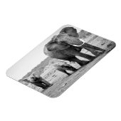 アフリカゾウ&カーブ |ケニア、アフリカ マグネット (左側)