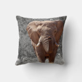 アフリカゾウ クッション (裏面)