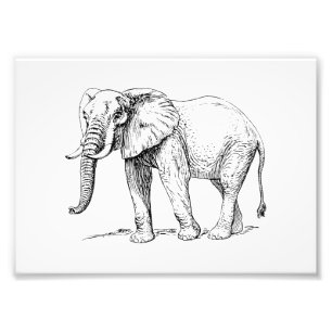アフリカゾウ フォトプリント
