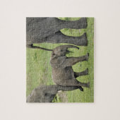 アフリカゾウ(ベビー) ジグソーパズル (縦)