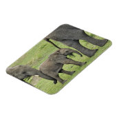 アフリカゾウ(ベビー) マグネット (左側)