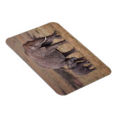 アフリカゾウ(ベビー) マグネット (右側)