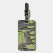 アフリカゾウ(ベビー) ラゲッジタグ (正面縦)