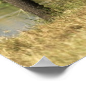 アフリカゾウ ポスター (角)