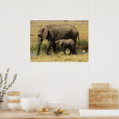 アフリカゾウ ポスター (キッチン)