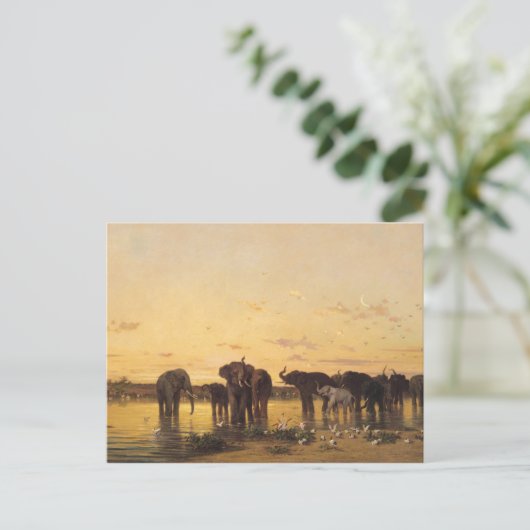 アフリカゾウ ポストカード (スタンド正面)