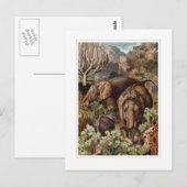 アフリカゾウ ポストカード (正面/裏面)