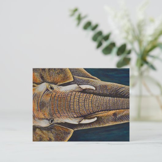 アフリカゾウ ポストカード (スタンド正面)