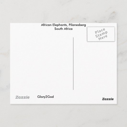 アフリカゾウ ポストカード (裏面)