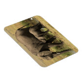 アフリカゾウ マグネット (右側)