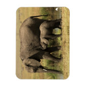 アフリカゾウ マグネット (縦)