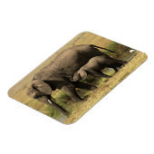 アフリカゾウ マグネット (左側)