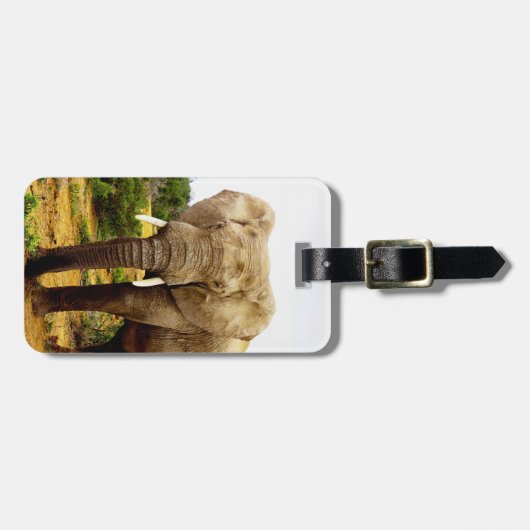 アフリカゾウ ラゲッジタグ (正面横)