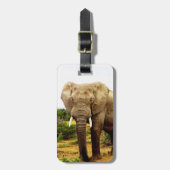 アフリカゾウ ラゲッジタグ (正面縦)