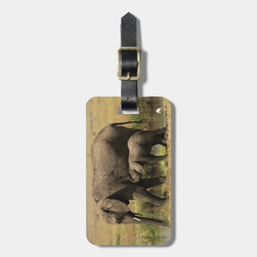 アフリカゾウ ラゲッジタグ (正面縦)