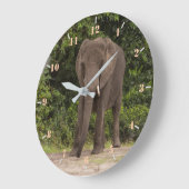 アフリカゾウ ラージ壁時計 (傾斜)