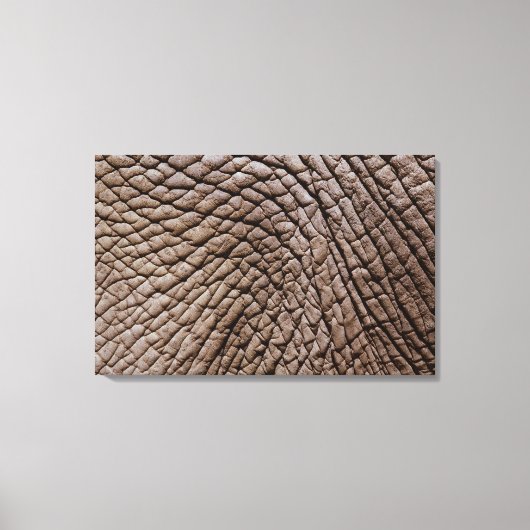 アフリカゾウ（ロキソドンタアフリカナ）の皮膚 キャンバスプリント (正面)