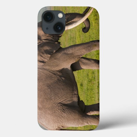 アフリカゾウ、ンゴロンゴロ保全地域 Case-Mate iPhoneケース (裏面)
