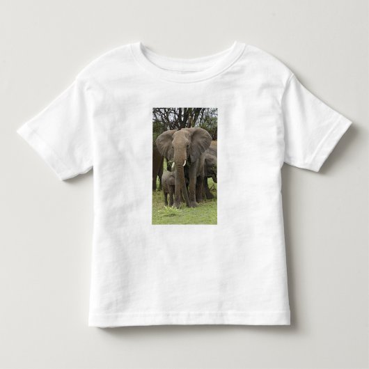 アフリカゾウ | 群れ トドラーTシャツ (正面)