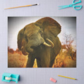 アフリカゾウ 薄葉紙 (クラフト)