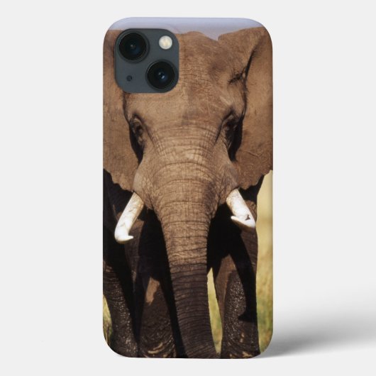 アフリカゾウ Case-Mate iPhoneケース (裏面)