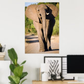 アフリカゾウ (Loxodonta Africana) のウォーク ポスター (ホームオフィス)