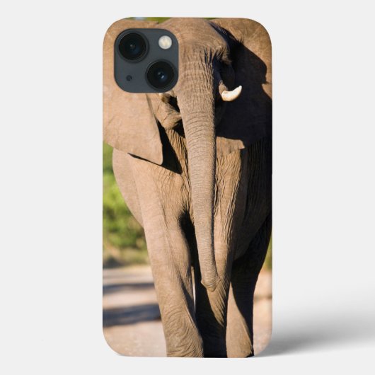 アフリカゾウ(Loxodonta Africana)の歩行 Case-Mate iPhoneケース (裏面)