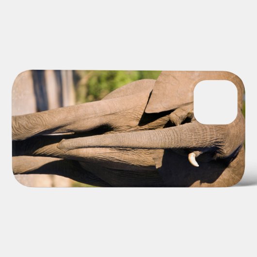 アフリカゾウ(Loxodonta Africana)の歩行 Case-Mate iPhoneケース (裏面 (横))