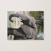 アフリカゾウ (Loxodonta africana), サブテ水路 ジグソーパズル (横)