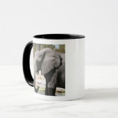アフリカゾウ (Loxodonta africana)、サブテ水路 マグカップ (正面左)