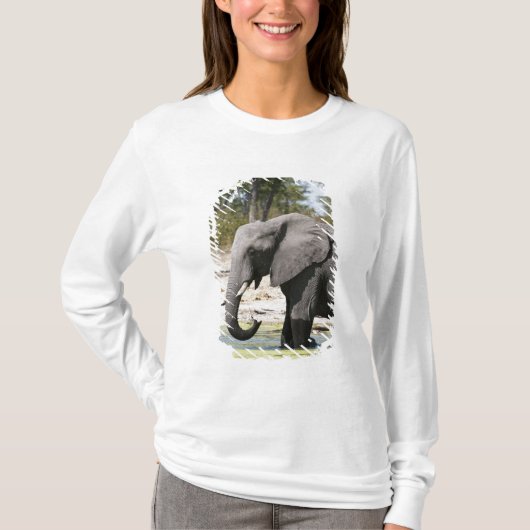 アフリカゾウ (Loxodonta africana)、サブテ水路 Tシャツ (正面)
