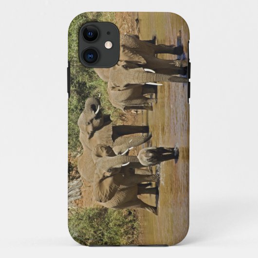 アフリカゾウ, Loxodonta Africana, サンブル Case-Mate iPhoneケース (裏面)