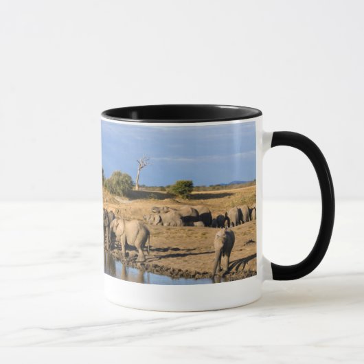 アフリカゾウ (Loxodonta Africana) 群れ マグカップ (右)