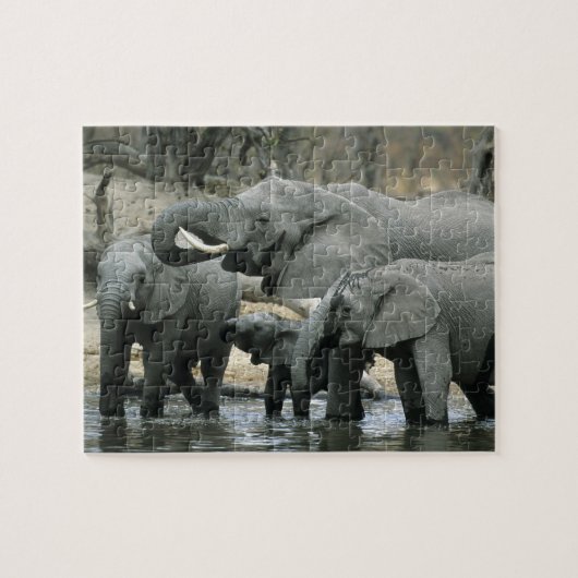 アフリカゾウ(Loxodonta africana)、飲水中 ジグソーパズル (横)
