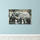アフリカゾウ（Loxodonta africana）、飲水 キャンバスプリント (インサイチュ (ウッドフロア))