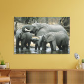アフリカゾウ（Loxodonta africana）、飲水 キャンバスプリント (インサイチュ (リビング))