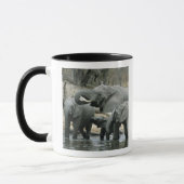 アフリカゾウ（Loxodonta africana）、飲水 マグカップ (左)