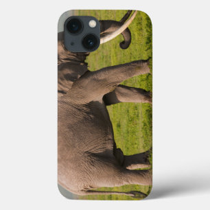 アフリカゾウ、Ngorongoroの保存区域 iPhone 13ケース