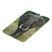 アフリカゾウna loxodonta, マサイマラゲーム マグネット (左側)