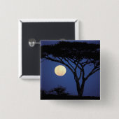 アフリカタンザニアタランギアAcaciaの木 缶バッジ (正面&裏面)