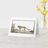 アフリカチータイラストレーション カード (黄色い花)