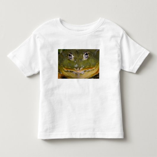 アフリカツチガエル,Pyxicephalus トドラーTシャツ (正面)