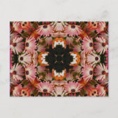 アフリカデイジーの万華鏡のように千変万化するパターンの花の郵便はがき ポストカード (正面)