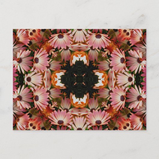 アフリカデイジーの万華鏡のように千変万化するパターンの花の郵便はがき ポストカード (正面)
