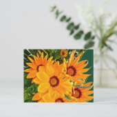 アフリカデイジーはがき ポストカード (スタンド正面)