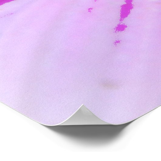 アフリカデイジークローズアップのポスターアート ポスター (角)