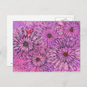 アフリカデイジーケープデイジーピンクの花フローラアート ポストカード (正面/裏面)