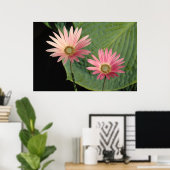 アフリカデイジーズビュートパーク、カーディフ、ウェールズ ポスター (ホームオフィス)