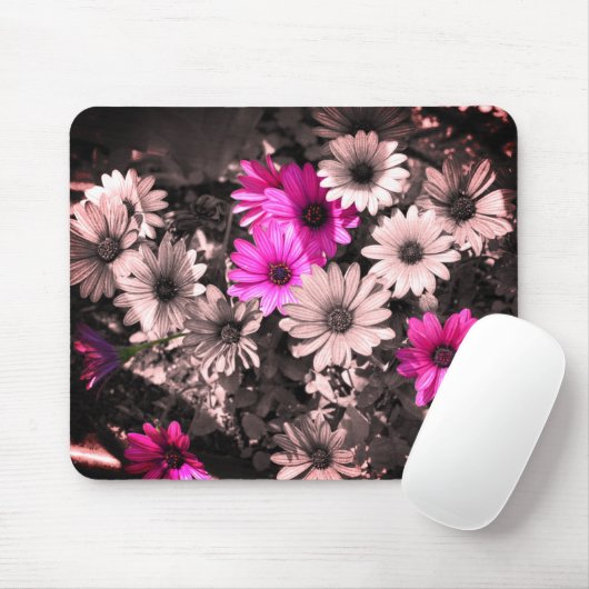 アフリカデイジーフラワーアート マウスパッド (マウス)