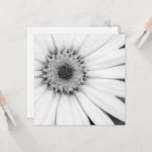 アフリカデイジーモノクロフローラ カード (正面/裏面インサイチュ)